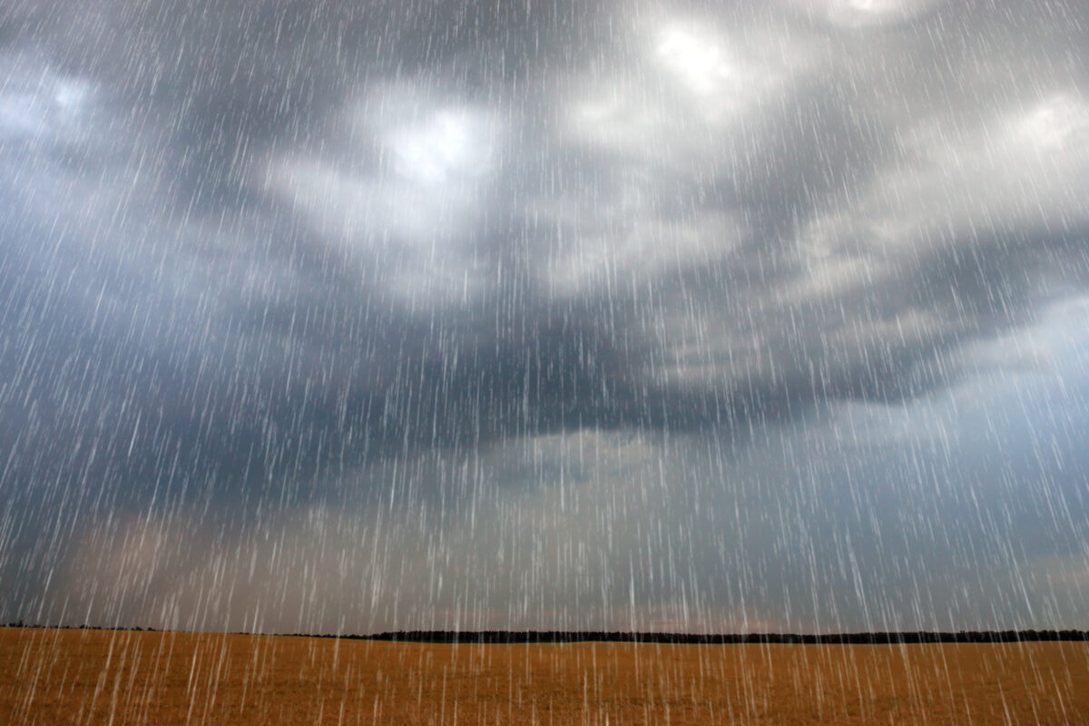 What is a Rain Gauge? Why and How Rainfall Totals Matter – Weather ...